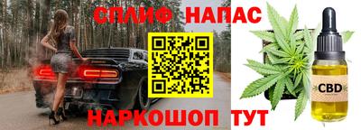 герыч Камышлов