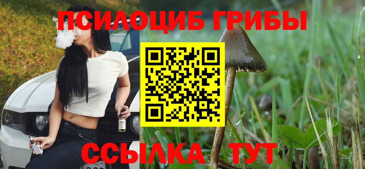 Галлюциногенные грибы Cubensis Конаково