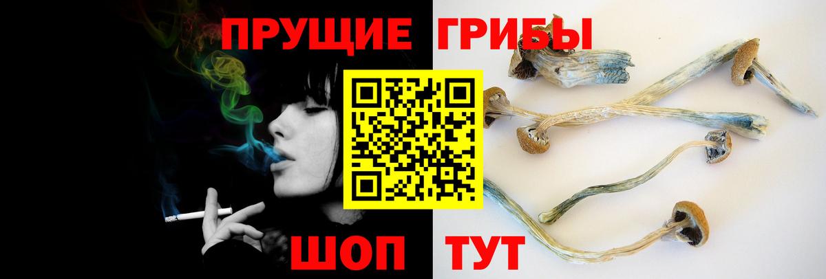 Галлюциногенные грибы Psilocybine cubensis  Вход с VPN  Конаково 